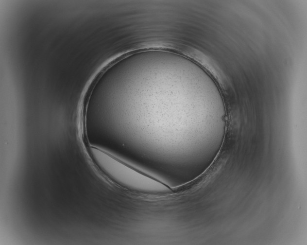 X0000101961132200807251149