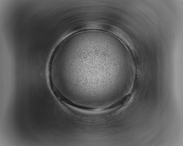 X0000101961133200807251149