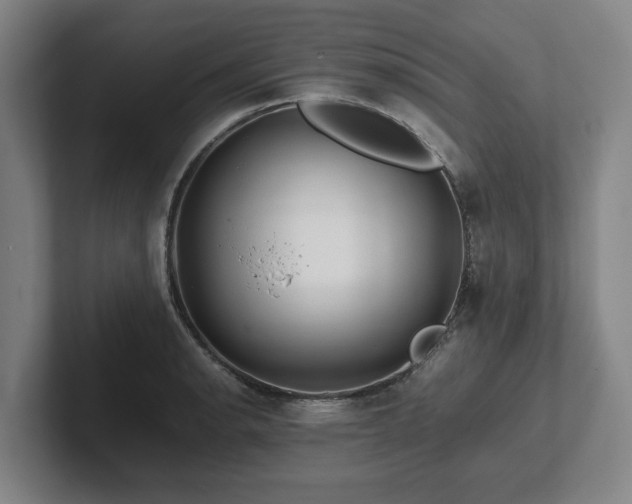 X0000101961134200807251149