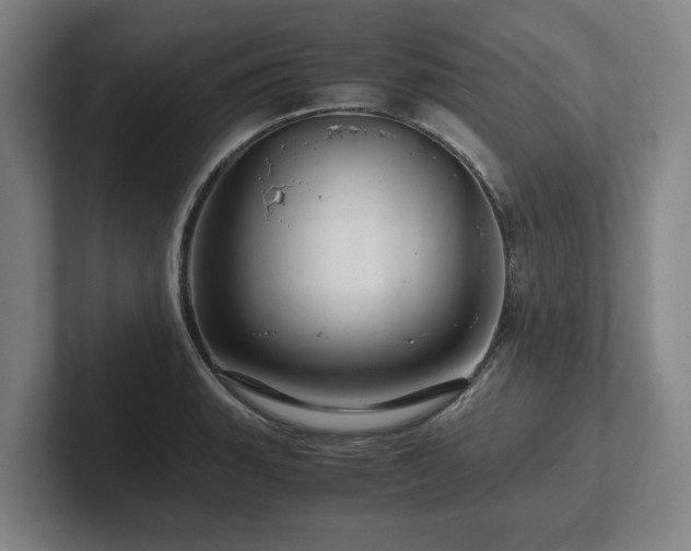 X0000101961135200807251149