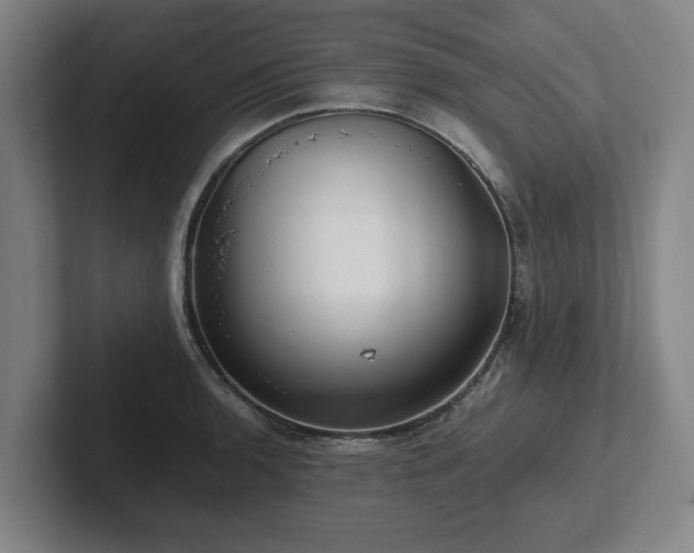 X0000101961136200807251149