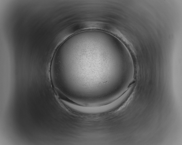 X0000101961137200807251149