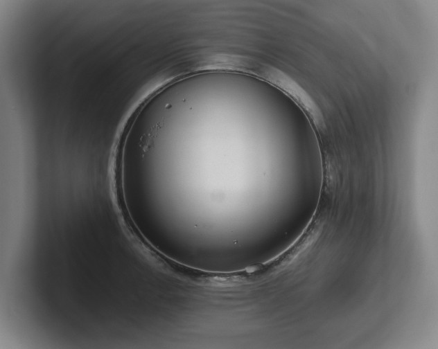 X0000101961138200807251149