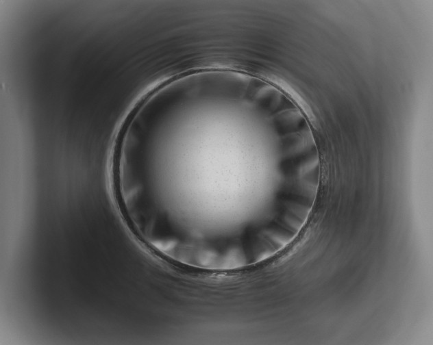 X0000101961139200807251149