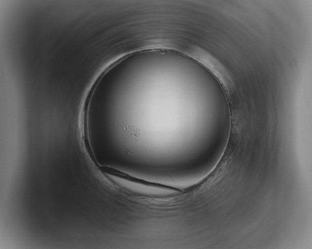 X0000101961140200807251149