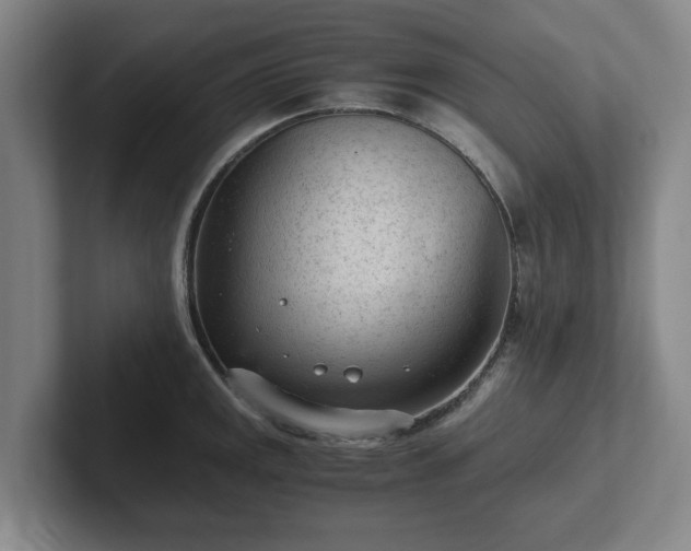 X0000101961141200807251149