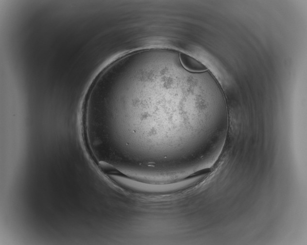 X0000101961142200807251149