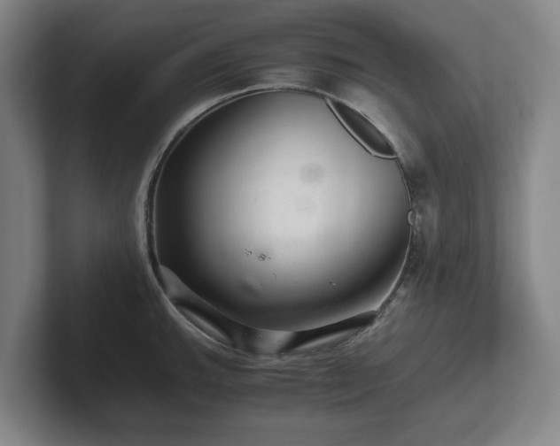 X0000101961143200807251149