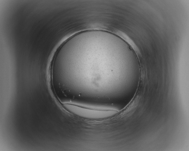 X0000101961144200807251149