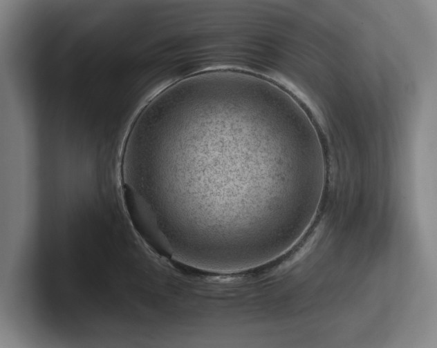 X0000101961145200807251149