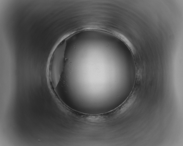 X0000101961146200807251149