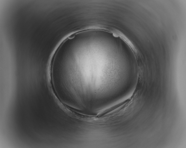 X0000101961148200807251149