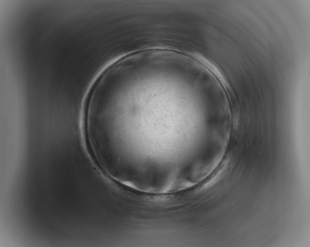 X0000101961149200807251149