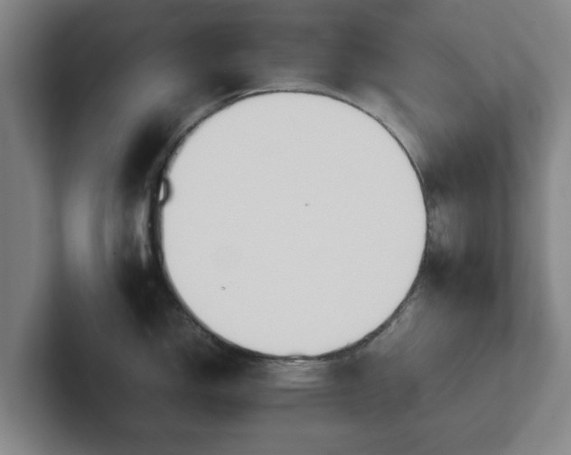 X0000101961150200807251149