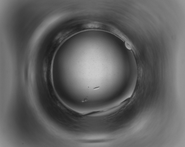 X0000101961151200807251149