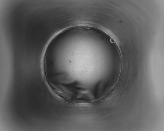 X0000101961152200807251149