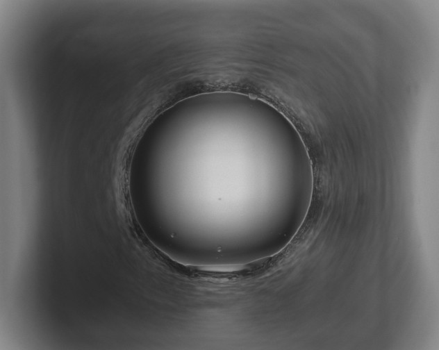 X0000101961153200807251149