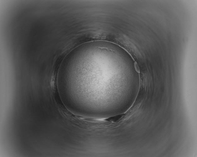 X0000101961154200807251149