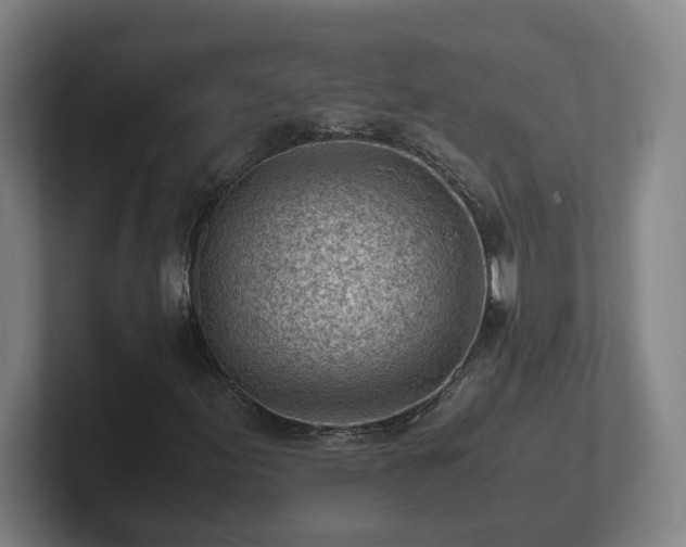 X0000101961155200807251149