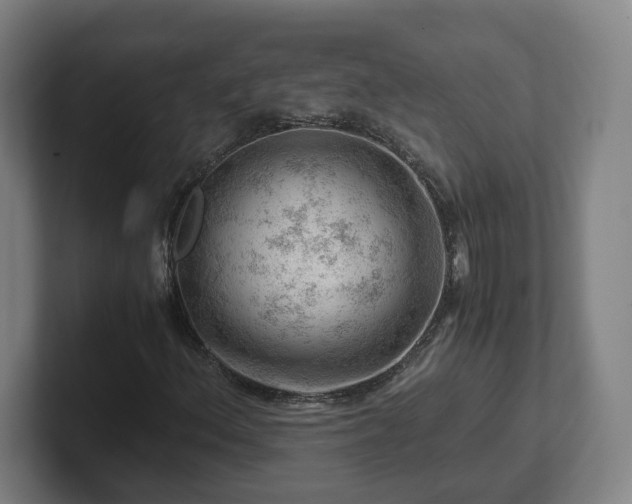 X0000101961156200807251149