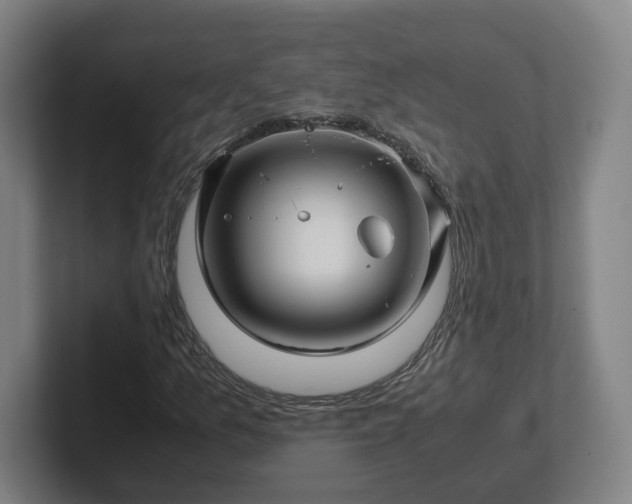 X0000101961157200807251149