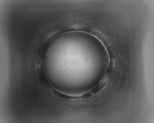 X0000101961158200807251149