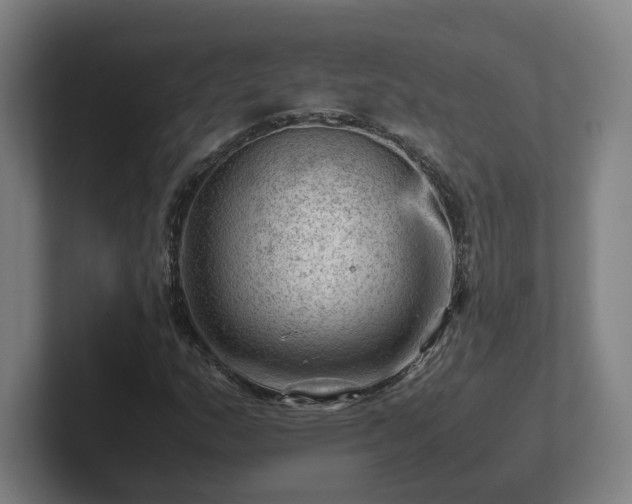 X0000101961159200807251149