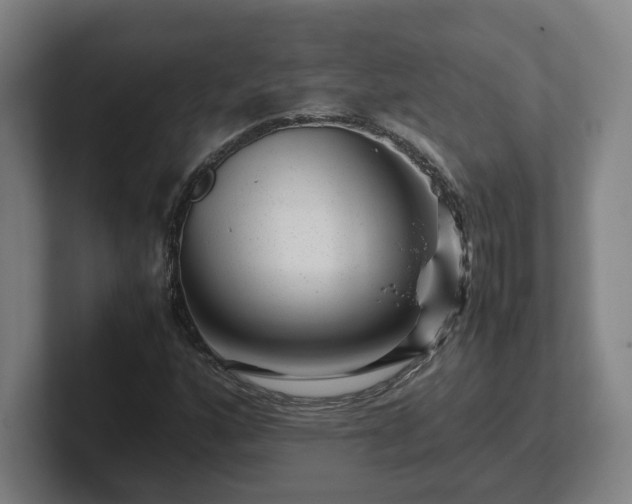 X0000101961160200807251149