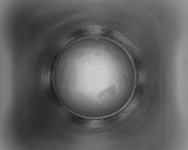 X0000101961161200807251149