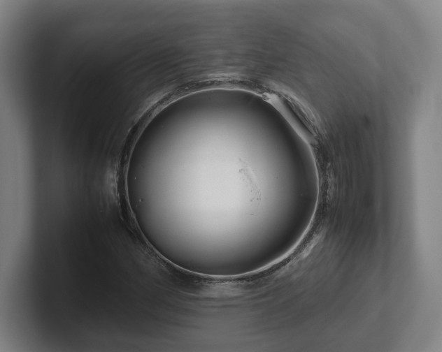 X0000101961162200807251149