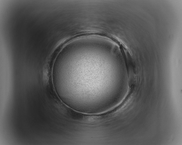 X0000101961163200807251149