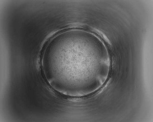 X0000101961164200807251149