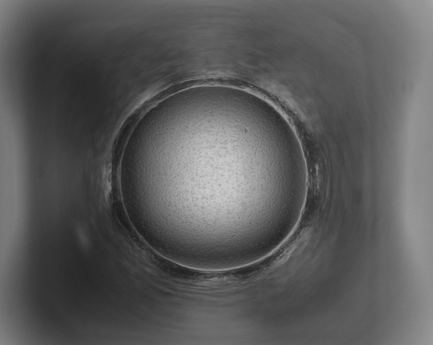 X0000101961165200807251149