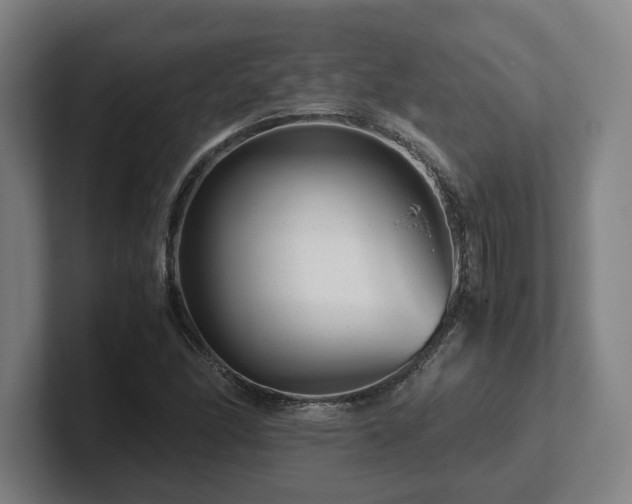 X0000101961166200807251149