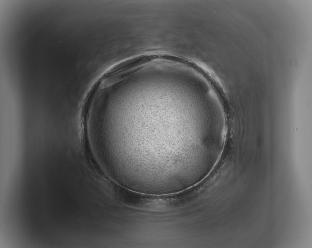 X0000101961167200807251149