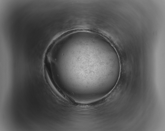 X0000101961168200807251148