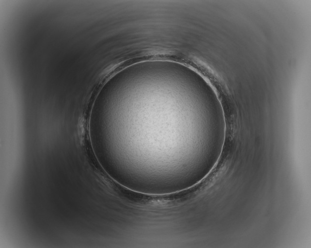 X0000101961169200807251148