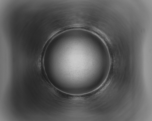 X0000101961170200807251148