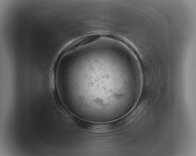 X0000101961171200807251148