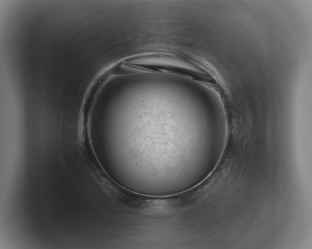 X0000101961172200807251148