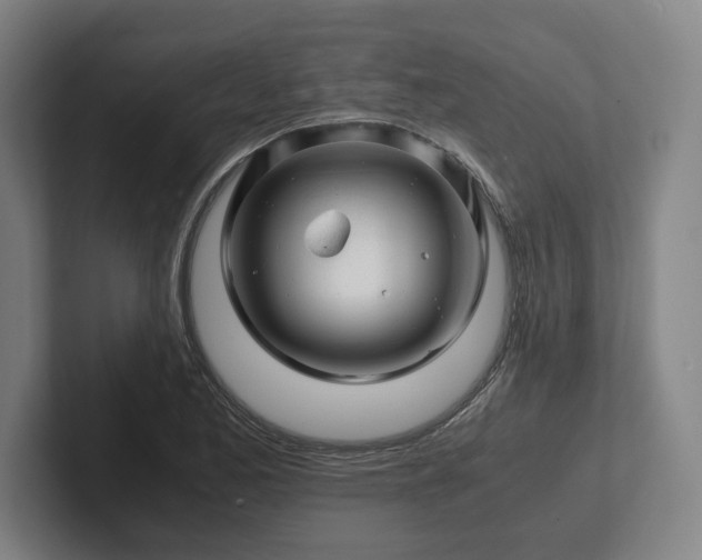 X0000101961173200807251148