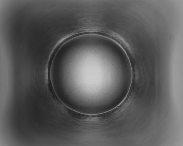 X0000101961174200807251148