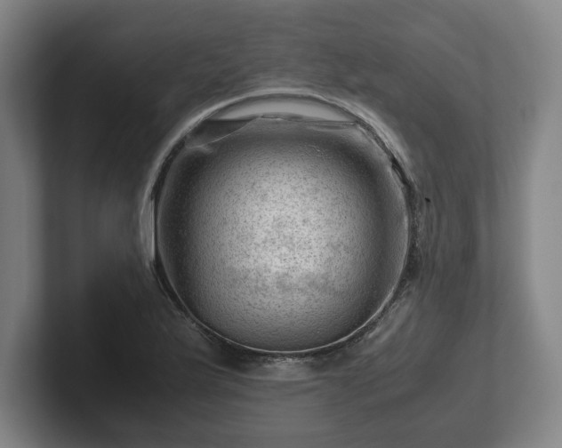 X0000101961175200807251148