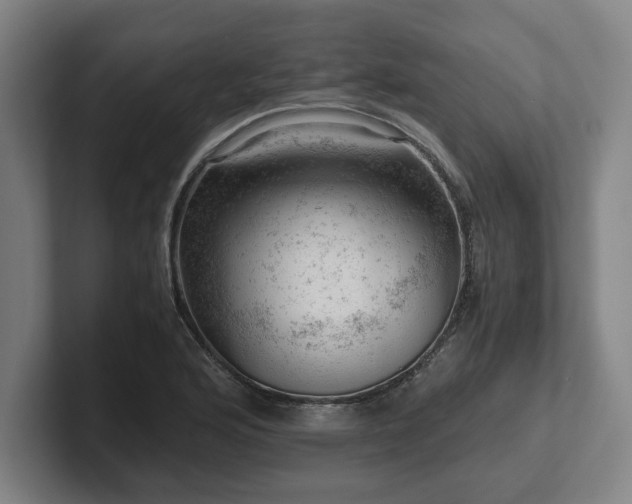 X0000101961176200807251148