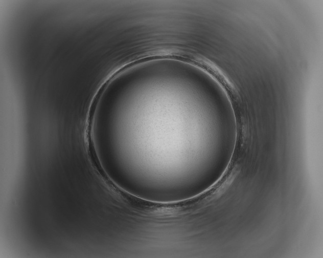 X0000101961178200807251148