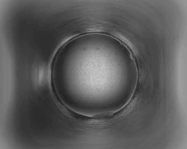 X0000101961179200807251148