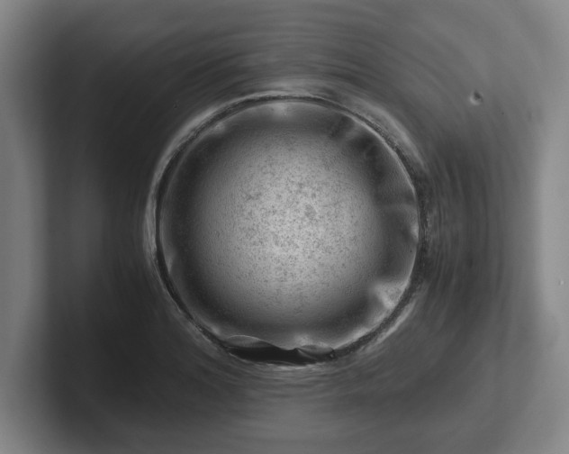 X0000101961180200807251148