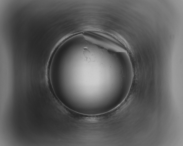 X0000101961182200807251148