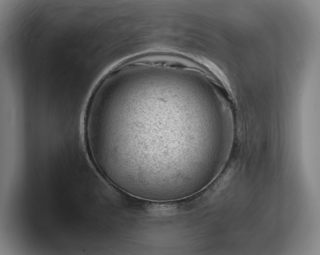 X0000101961183200807251148