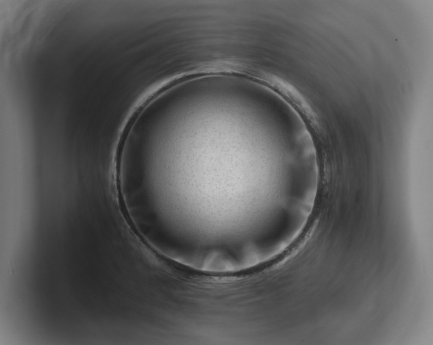 X0000101961184200807251148